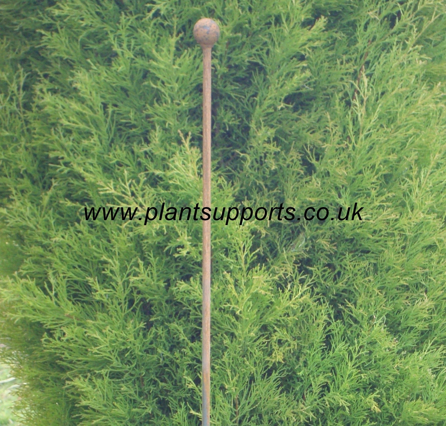 Iron Plant Stake Pack of 3 142cm high A0054 Iron Plant Stake Pack of 3 142cm high A0054